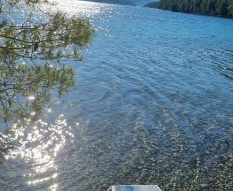 Terrain agricole unique à Peljesac, plus de 21 hectares, 1ère rangée de la mer - pic 5