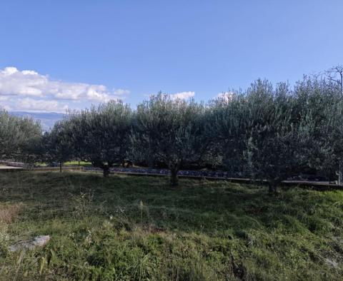 Městský pozemek s krásným výhledem na moře 1,5 km od moře v Risice na ostrově Krk - pic 2