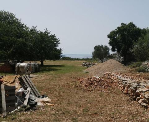 Olive grove on Krk with a farm building - pic 7