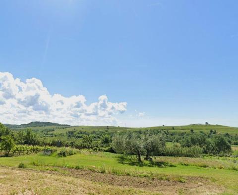 Építési telek Buje területén az építési övezet szélén, panorámás kilátással  - pic 3