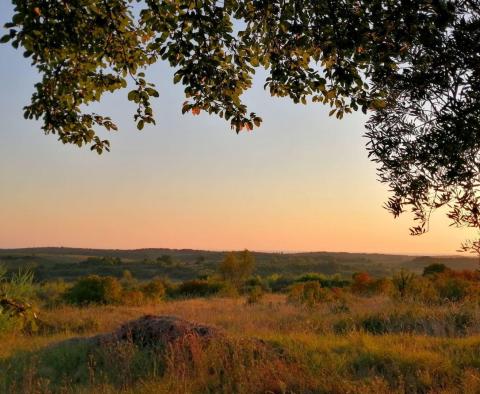 Építési telek Buje területén az építési övezet szélén, panorámás kilátással  - pic 4