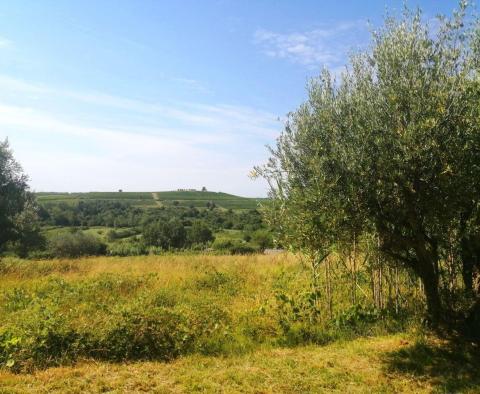 Építési telek Buje területén az építési övezet szélén, panorámás kilátással  - pic 7