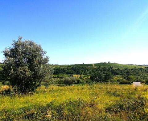 Építési telek Buje területén az építési övezet szélén, panorámás kilátással  - pic 9