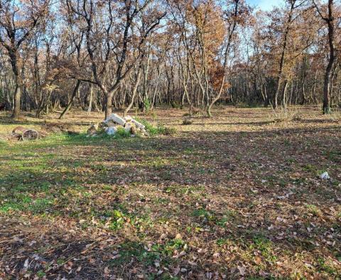 Земельный участок Валица, Умаг, агро + городская часть в сочетании - фото 4