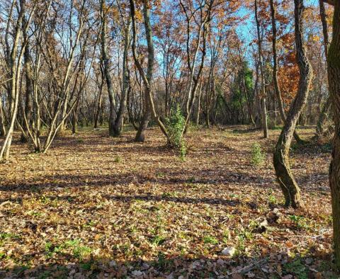 Земельный участок Валица, Умаг, агро + городская часть в сочетании - фото 5