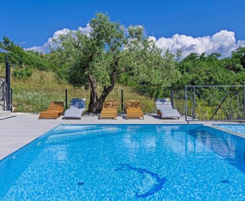 Villa with a panoramic view of the sea in Brtonigla - pic 3