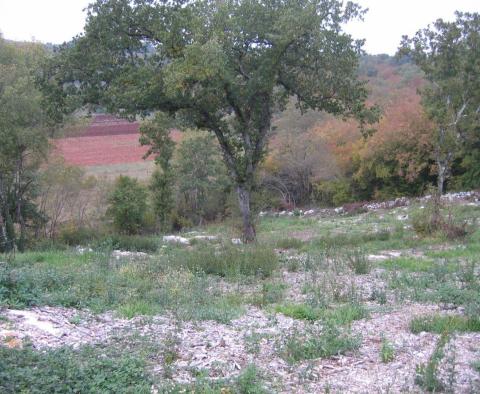 Urban land in Rovinj, 3 km from the sea - pic 3