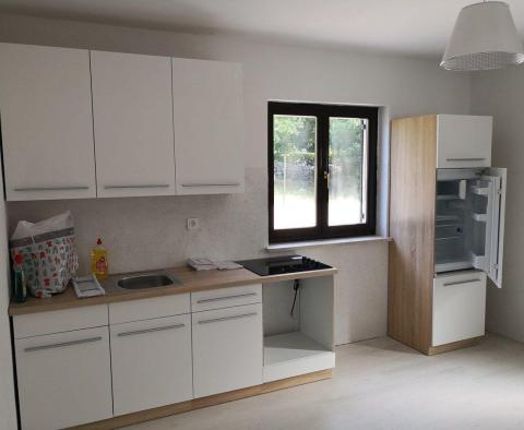 Dva apartmány v přízemí se zahradou na Krku, Soline - pic 13