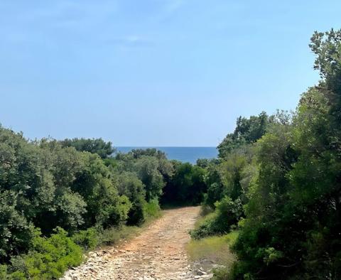 Grand investment terrain in Marčana, 1st line to the sea - pic 8