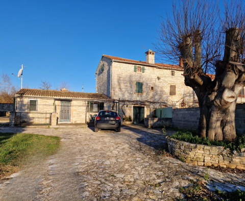 Stone house with two residential units in Svetvincenat - pic 4