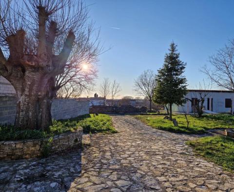 Stone house with two residential units in Svetvincenat - pic 9