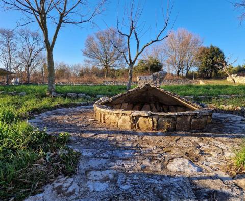 Stone house with two residential units in Svetvincenat - pic 11