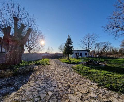 Stone house with two residential units in Svetvincenat - pic 14