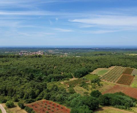 Eine steinerne Schönheit mit Panoramablick auf das Meer in Visnjan - foto 2