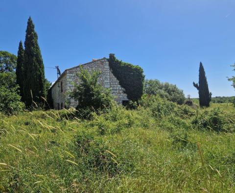 Pozemkový komplex 138 800 m2. v oblasti Rovinj s působivou antikou, 5 km od moře - pic 7