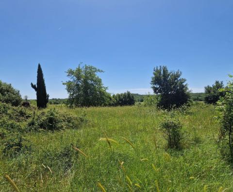 Pozemkový komplex 138 800 m2. v oblasti Rovinj s působivou antikou, 5 km od moře - pic 22