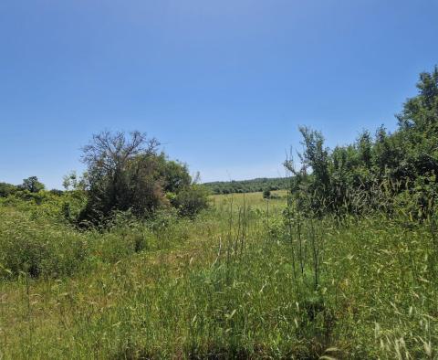 Pozemkový komplex 138 800 m2. v oblasti Rovinj s působivou antikou, 5 km od moře - pic 24