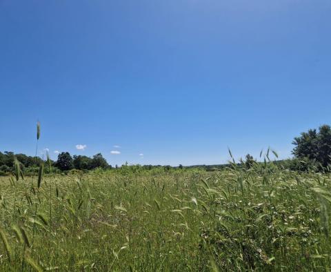 Pozemkový komplex 138 800 m2. v oblasti Rovinj s působivou antikou, 5 km od moře - pic 27