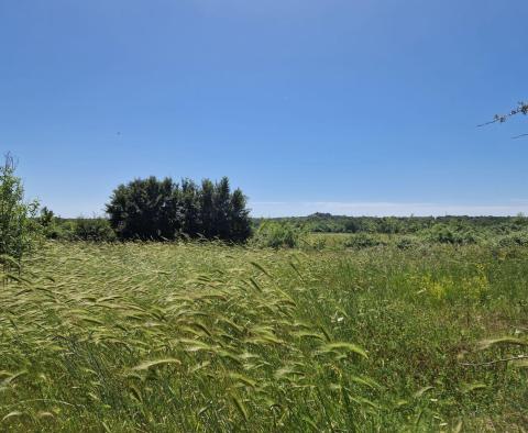 Pozemkový komplex 138 800 m2. v oblasti Rovinj s působivou antikou, 5 km od moře - pic 28