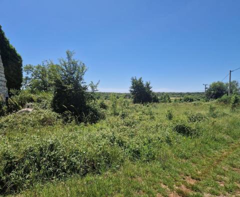 Pozemkový komplex 138 800 m2. v oblasti Rovinj s působivou antikou, 5 km od moře - pic 31