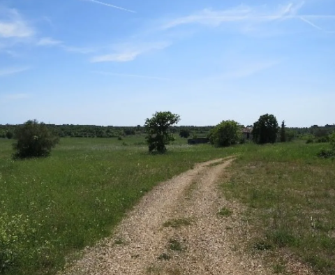 Pozemkový komplex 138 800 m2. v oblasti Rovinj s působivou antikou, 5 km od moře - pic 33