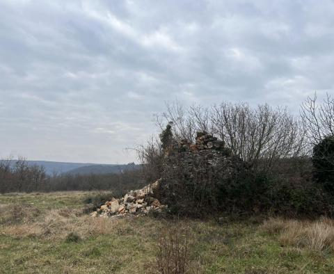 Terrain à Brtonigla, plus de 5 hectares - pic 2