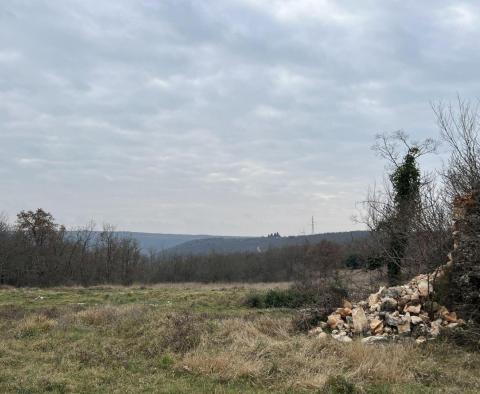 Terrain à Brtonigla, plus de 5 hectares - pic 3