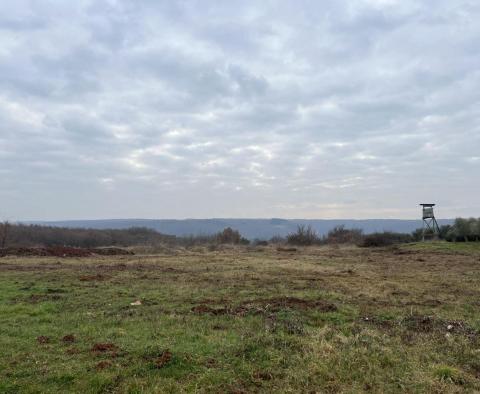 Terrain à Brtonigla, plus de 5 hectares - pic 4