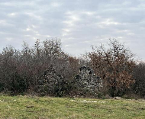 Terrain à Brtonigla, plus de 5 hectares - pic 5