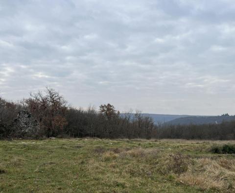 Terrain à Brtonigla, plus de 5 hectares - pic 7