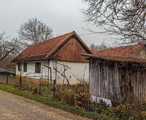 Ogromna posiadłość w Tounj, ponad 5 hektarów ziemi - pic 7