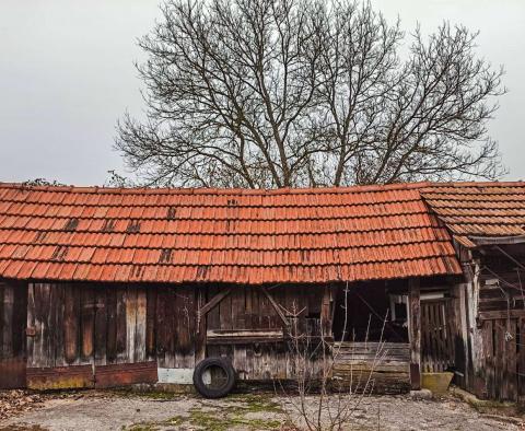 Ogromna posiadłość w Tounj, ponad 5 hektarów ziemi - pic 14