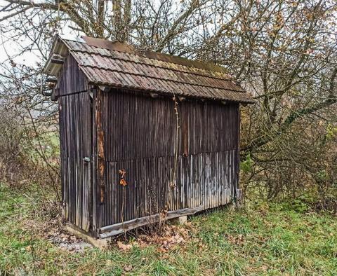 Ogromna posiadłość w Tounj, ponad 5 hektarów ziemi - pic 20