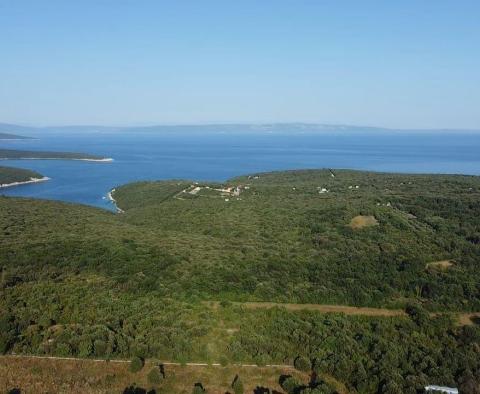 Fantastique domaine à Peruški, Marcana, à vendre - pic 2