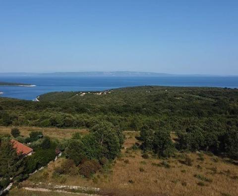 Fantastique domaine à Peruški, Marcana, à vendre - pic 4