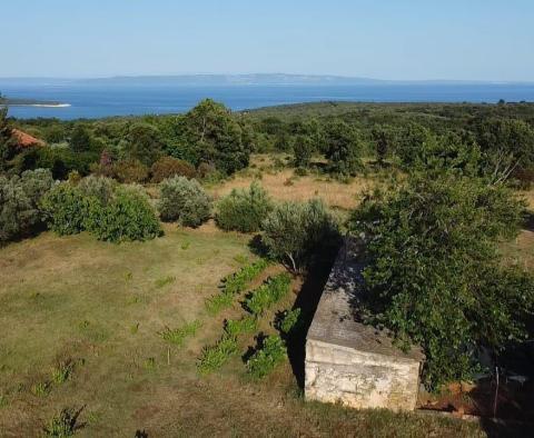 Fantastique domaine à Peruški, Marcana, à vendre - pic 15