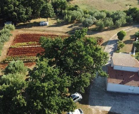 Fantastique domaine à Peruški, Marcana, à vendre - pic 17