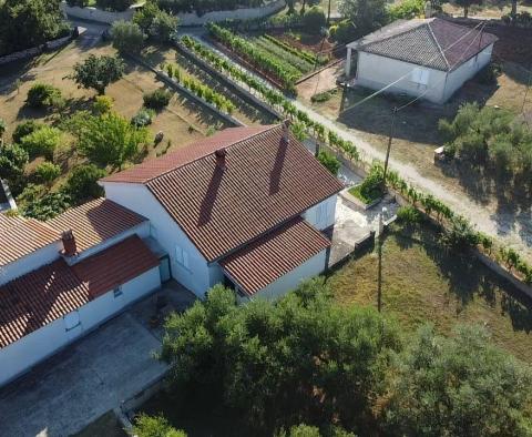 Fantastique domaine à Peruški, Marcana, à vendre - pic 18