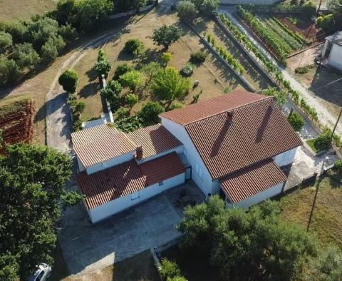 Fantastique domaine à Peruški, Marcana, à vendre - pic 20