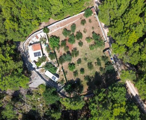 Olive grove with auxiliary building, only 150 meters from the sea, rarity in the offer on Krk! - pic 5