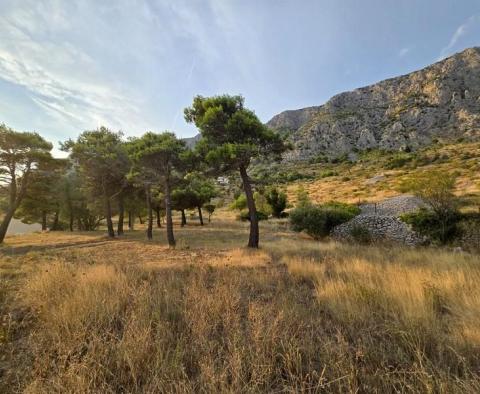 Domaine d'exception avec belle vue mer sur la riviera d'Omis, sur 8183 m² de terrain - pic 18