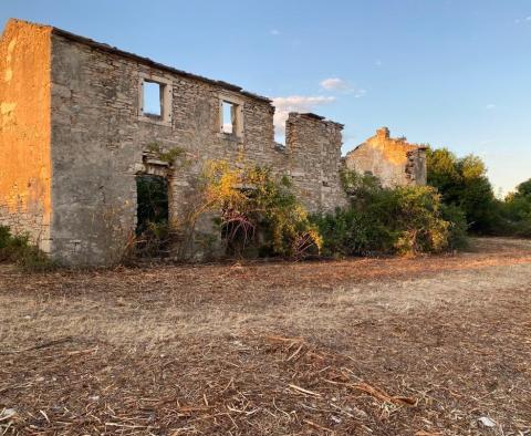 Ruine zur Adaptierung in Buje - foto 5