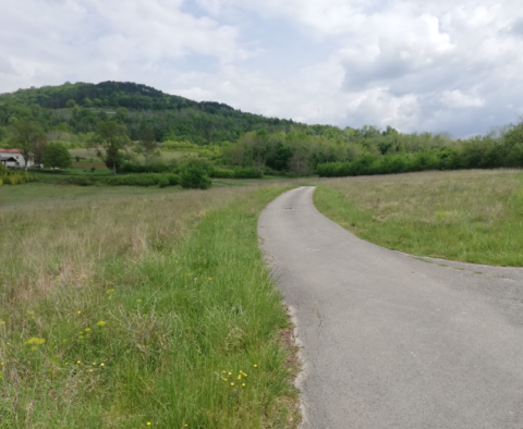 Tágas terep Motovun területén - pic 2