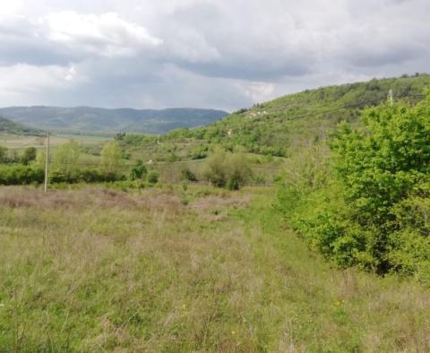 Tágas terep Motovun területén - pic 4