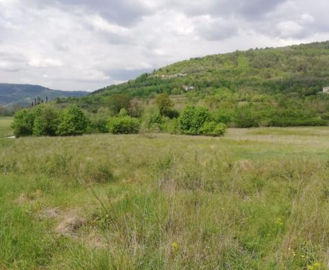 Tágas terep Motovun területén - pic 5