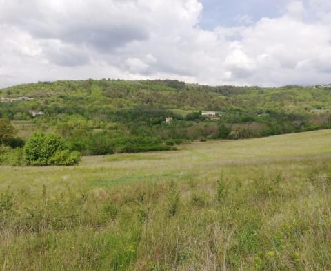 Tágas terep Motovun területén - pic 6