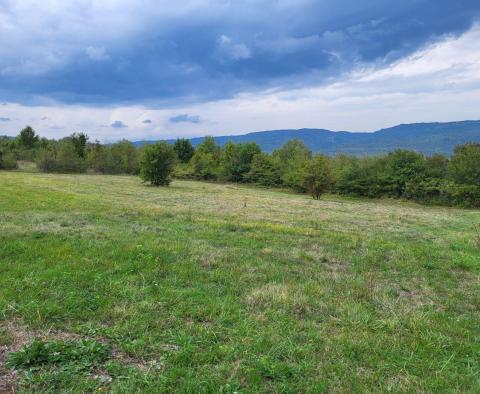 Baugrundstück + Ackerland in Motovun, zu verkaufen - foto 4