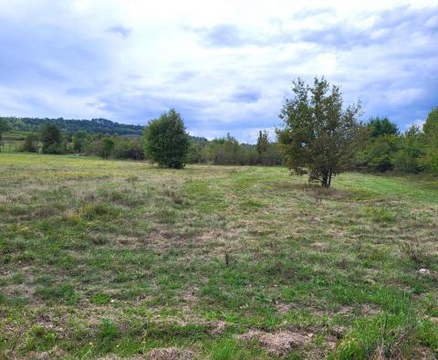 Baugrundstück + Ackerland in Motovun, zu verkaufen - foto 8