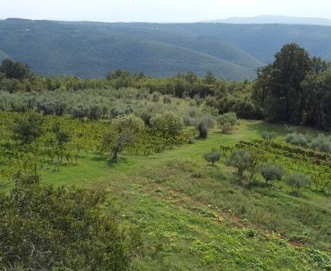 Terrain à bâtir spacieux avec vue dégagée dans le quartier Barban ! - pic 2