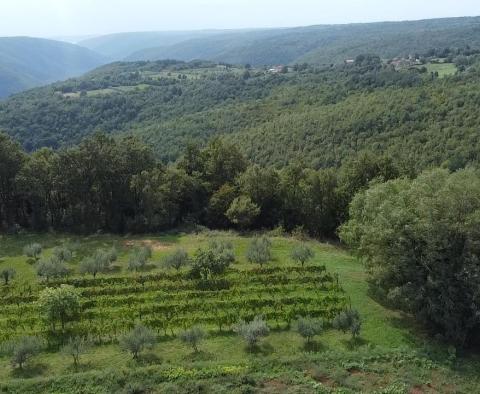 Terrain à bâtir spacieux avec vue dégagée dans le quartier Barban ! - pic 4